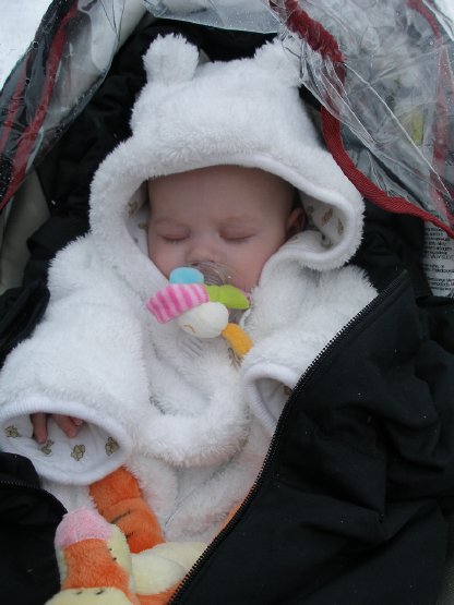Rosenmontag2010 144.jpg